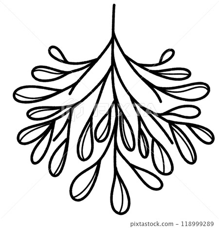 Line art doodle Hand drawn Christmas Winter graphic vector illustration isolated on white background color editable Mistletoe Line art doodle Hand drawn Christmas Winter graphic vector illustration isolated on white background color editable Mistletoe 118999289