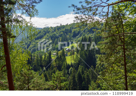 Beautiful landscape of village in valley among the mountains in summer day, Carpathians, Ukraine 118999419