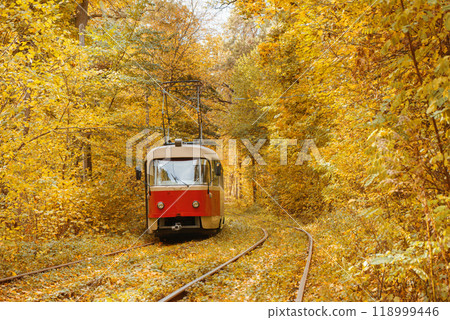 Old red tram moving through yellow autumn deciduous forest, fall landscape, ecological transport Old red tram moving through yellow autumn deciduous forest, fall landscape, ecological transport 118999446