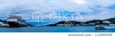 長崎港客船抵達（Westerdam） 從水部之森公園眺望的夜景全景【長崎市】 118999489