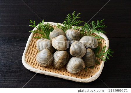 Bombinos clams served in a colander 118999671