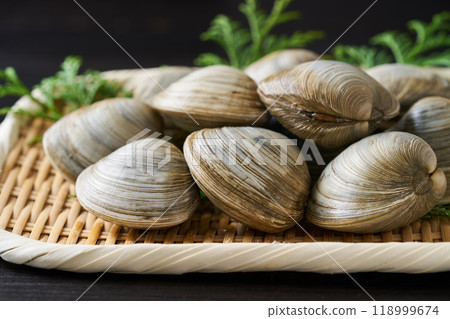 Bombinos clams served in a colander 118999674