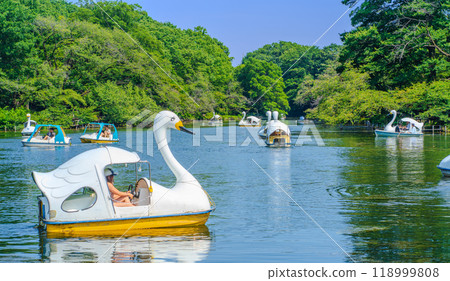Pond and swan boats at Inokashira Park, Kichijoji, Tokyo 118999808