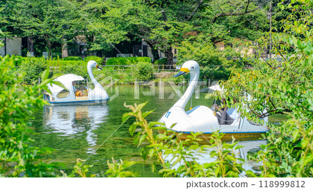 東京吉祥寺井之頭公園池塘與天鵝船 118999812