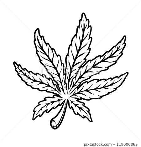 Illustration of cannabis leaf. Design element for poster, t shirt, sign. Vector illustration 119000862