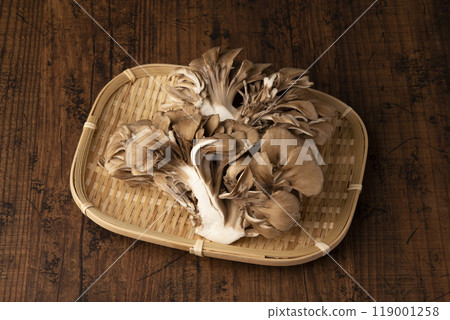 灰樹花 灰樹花 119001258