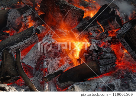 Bonfire 7 Bonfire 7 119001509
