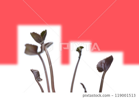 Global warming image (fix photography) 119001513