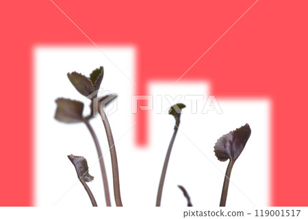 全球變暖圖像(固定攝影) 全球變暖圖像(固定攝影) 119001517