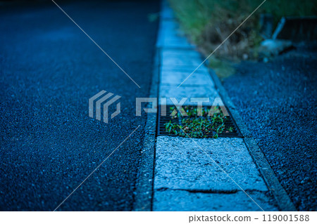 晚上的路 119001588