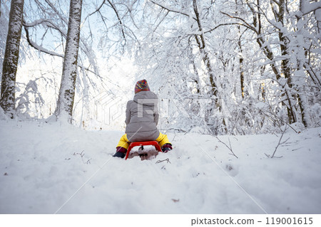 Toddler girl in winter suit sitting on a sleigh in beautiful snowy nature 119001615