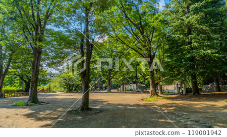 Kichijoji Inokashira Park 119001942