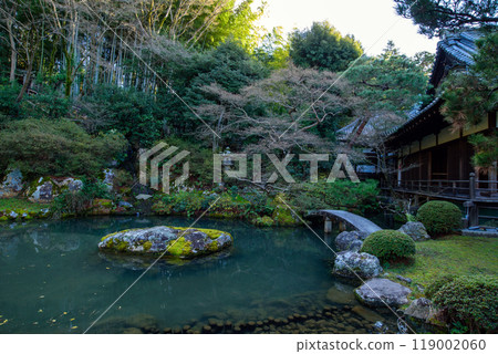 日本庭園、青蓮院門跡 日本庭園、青蓮院門跡 119002060