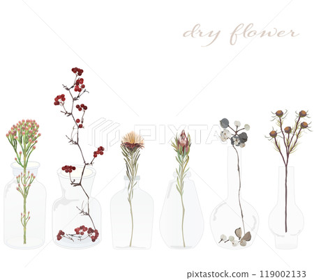Dried flowers such as Chinese tallow tree, Chinese tallow tree, and Leucadendron brunia in a glass jar 119002133