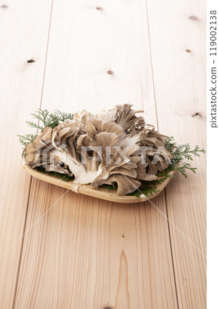 灰樹花 灰樹花 119002138