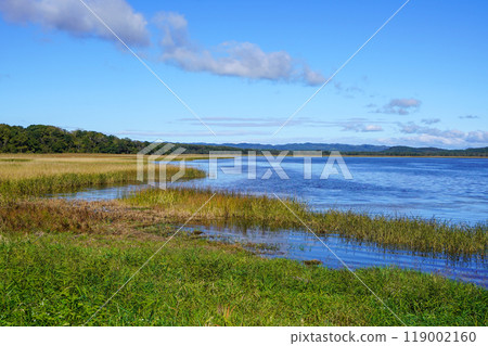 鮮花海藻 鮮花海藻 119002160