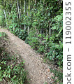 path leading to the mountain 119002355