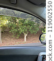 Scenery from inside the car 119002550