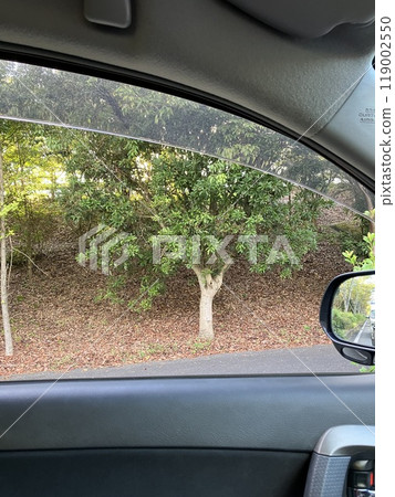 車內看到的風景 119002550