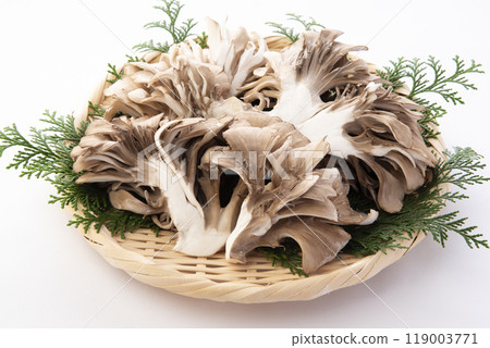 Dancers Dancers 119003771