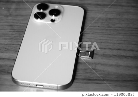 Smartphone SIM card 119003855