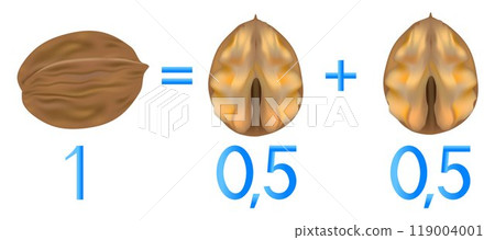 Educational games for children, on the composition of the whole, example with walnut. Educational games for children, on the composition of the whole, example with walnut. 119004001