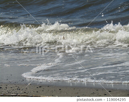 稻毛海岸的波浪 119004295