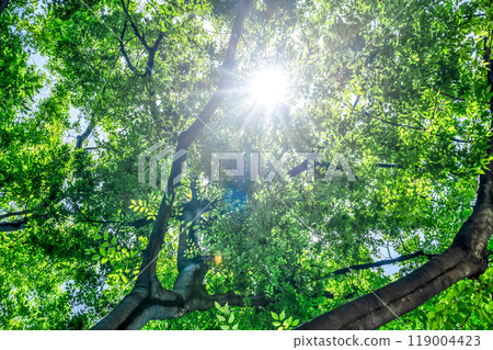 東京都豐島區都會風景、豐島區椎名町公園 東京都豐島區都會風景、豐島區椎名町公園 119004423