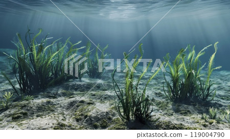 Underwater view of dense green seaweed swaying with ocean currents. Sunlight rays penetrate the water, adding depth to the natural scene 119004790