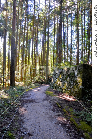 Iwamura Castle Ruins, Tatami Bridge Remains 119005206