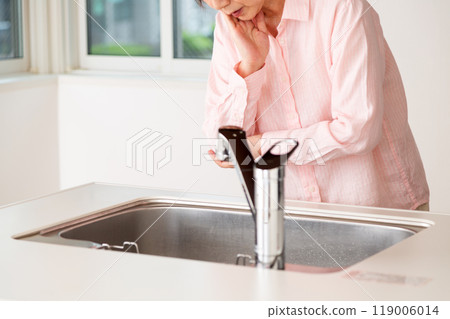 A senior woman inspecting the kitchen of a rental apartment 119006014