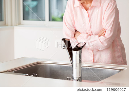 A senior woman inspecting the kitchen of a rental apartment 119006027