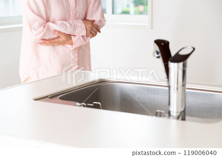 A senior woman inspecting the kitchen of a rental apartment 119006040