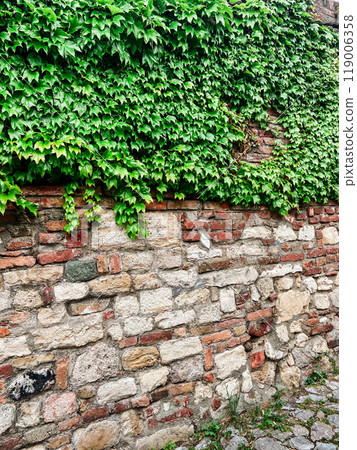 Stone pathway lined with ivy-covered walls leads to an old fortress under a soft, cloudy sky. the serene atmosphere captures a moment of timeless beauty and peaceful isolation in a historical setting. 119006358
