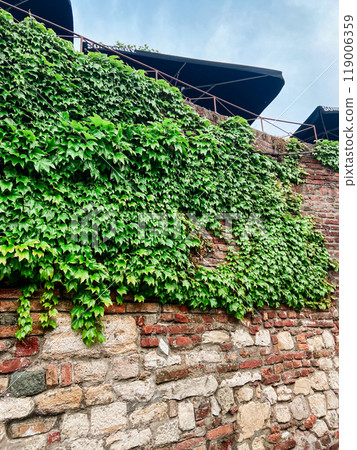 Stone pathway lined with ivy-covered walls leads to an old fortress under a soft, cloudy sky. the serene atmosphere captures a moment of timeless beauty and peaceful isolation in a historical setting. 119006359