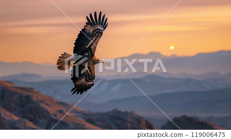 A lone eagle soars over a mountain range at dawn, casting long shadows on the rugged terrain below. 119006475