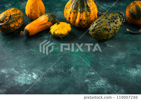 Various decorative pumpkin on green background 119007298