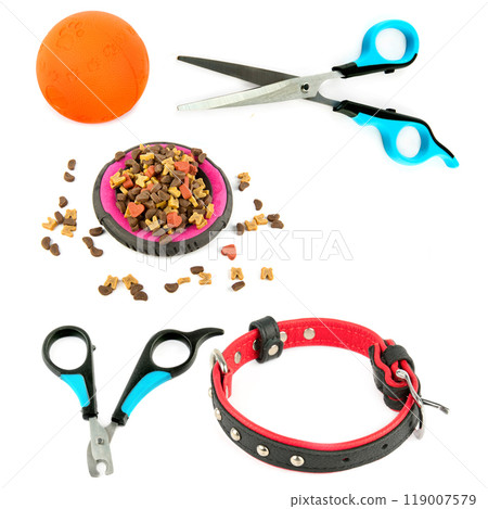 Dog collar, Set of scissors, food and ball isolated on white. Collage. Free space for text. 119007579
