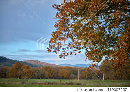 Autumn tree branch over a scenic rural landscape Autumn tree branch over a scenic rural landscape 119007967