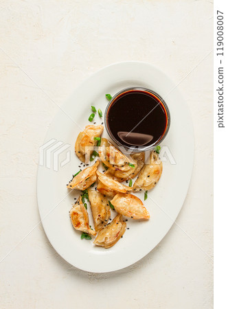 japanese fried gyoza dumplings, with pork, sesame seeds, green onions, japanese fried gyoza dumplings, with pork, sesame seeds, green onions, 119008007