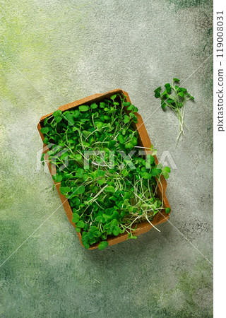 fresh micro-greenery, in a paper container, top view, no people, 119008031