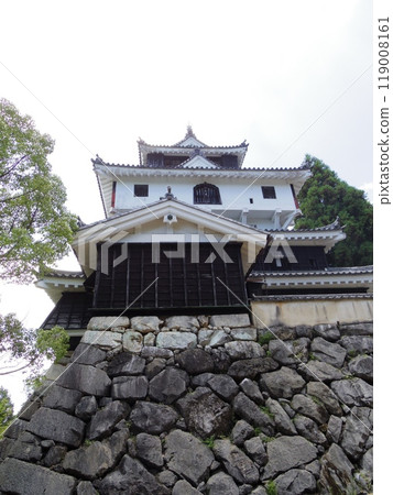 Iwakuni Castle (Iwakuni City, Yamaguchi Prefecture) Iwakuni Castle (Iwakuni City, Yamaguchi Prefecture) 119008161