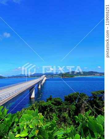 Tsunoshima Bridge as seen from Tsunoshima Island (Shimonoseki City, Yamaguchi Prefecture) Tsunoshima Bridge as seen from Tsunoshima Island (Shimonoseki City, Yamaguchi Prefecture) 119008251
