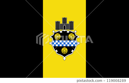 Flag of the city of Pittsburgh, Pennsylvania, USA, original colors and proportions. Illustration 119008289