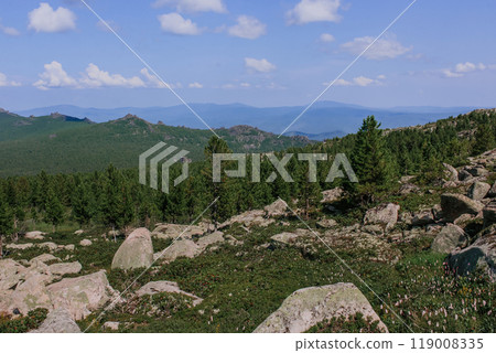 Summer natural landscape of mountain range with rocks. Green coniferous forest and large stones Summer natural landscape of mountain range with rocks. Green coniferous forest and large stones 119008335