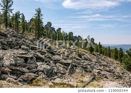 Accumulations of sharp-angled stone blocks and ridge of rocks in a coniferous forest at background. Natural landscape 119008344