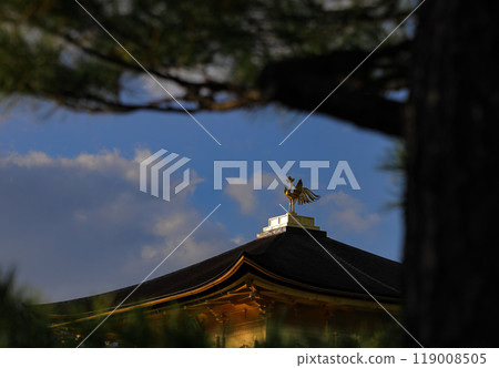A phoenix Sculpture on the roof of Golden Pavilion, Kinkakuji or Rokuonji, a Zen temple in northern Kyoto Japan. A phoenix Sculpture on the roof of Golden Pavilion, Kinkakuji or Rokuonji, a Zen temple in northern Kyoto Japan. 119008505