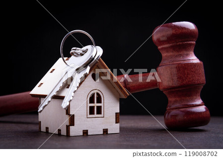 Arrest of house. Court decision on sale of house. Real estate auctions. Arrest of house. Court decision on sale of house. Real estate auctions. 119008702