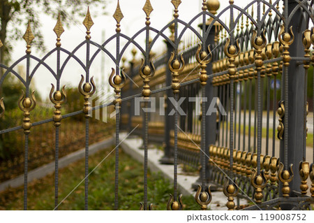 Metal fence in the city park. Decorative black iron guardrail for protection, close up Metal fence in the city park. Decorative black iron guardrail for protection, close up 119008752