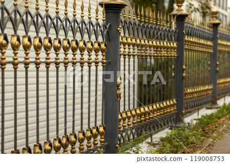Metal fence in the city park. Decorative black iron guardrail for protection, close up 119008753